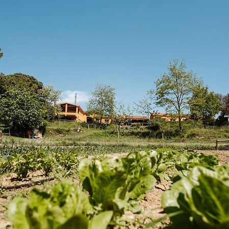 Casa Rural En El Campo Las Dalias Тордера Екстериор снимка