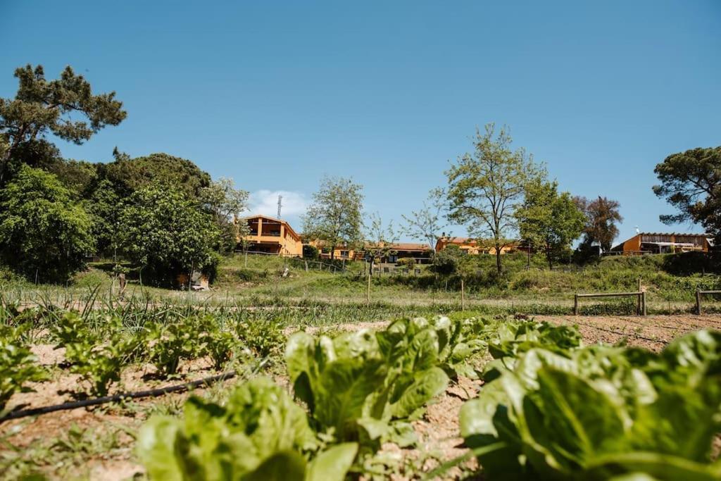 Casa Rural En El Campo Las Dalias Тордера Екстериор снимка